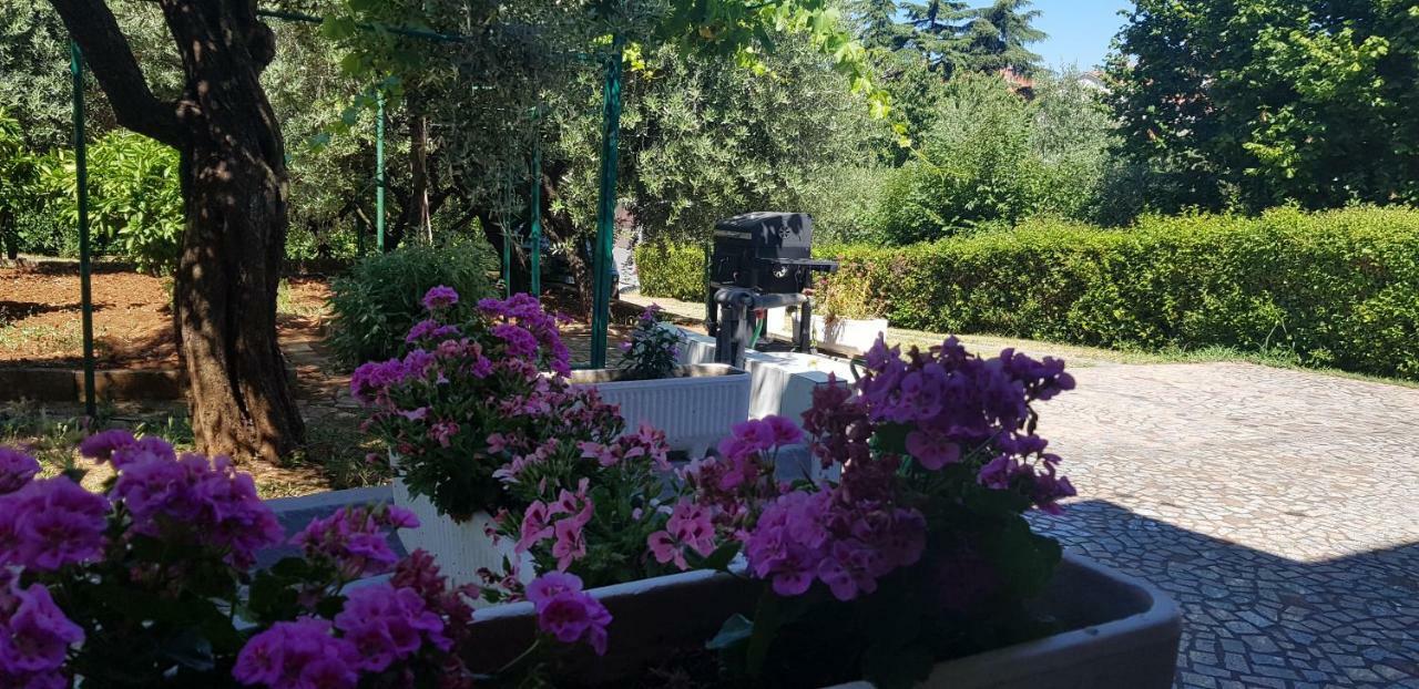 Clara 3 Apartment Porec